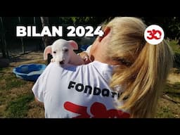 Le bilan de l'année 2024 : la Fondation sur tous les fronts !