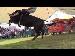 ''' SIGUEN DEJANDO DE QUE HABLAR''' LOS TOROS DIVINOS EN SANTA ANA DEL ARCO.