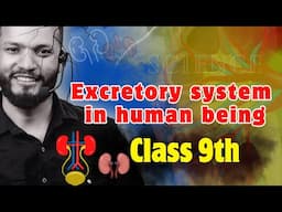 Excretory system in human being class 9 IIChap 5 life process in living organism II Maharashtraboard