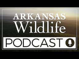 Arkansas Wildlife Podcast Episode 59- Non Game Species Management