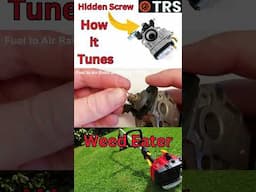 How the Hidden 'LOW' Screw Actually Tunes the Carburetor (by Craig Kirkman)