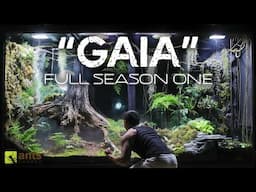 "GAIA" Full Season One Compilation - The AntsCanada Ecosystem Vivarium Series