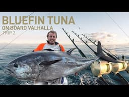 BLUEFIN TUNA - On Board Valhalla Trip 2 - Greymouth New Zealand