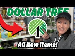 WOW! All New Items At Dollar Tree! Dollar Tree Shopping Haul