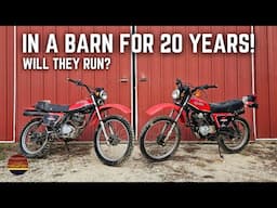 Can We Get These Old Hondas Running Again? You Won't Believe It!