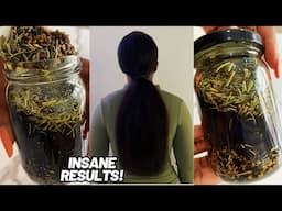 The Most Potent Hair Growth Oil we used in 2024! ⚠️ INSANE RESULTS