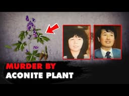 Husband's Perfect Plan To Murder Wife Exposed By A Single Mistake! True Crime Documentary