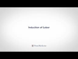 Induction of Labor | Supporting Your Pregnancy Journey