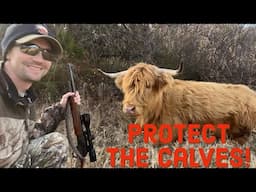 Predator control needed on the farm!