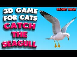 3D game for cats | Catch the SEAGULL (front view) | 4K, 60 fps, stereo sound