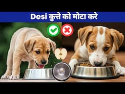 देसी कुत्ते को मोटा करे : desi dog care :how to make desi dog healthy