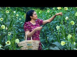 Lady's finger! 🫛 okra jel for sweets & made spicy recipes in rainy season!