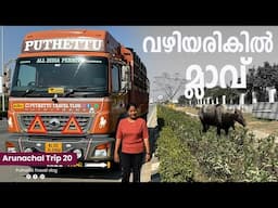 Today's special Dal palak and Amla Plantation  | Gujarat - Arunachal  Trip |  EP -  20 |