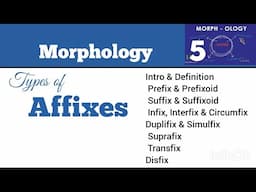 "Understanding Affixes in Linguistics: Prefixes, Suffixes, and Infixes Explained"