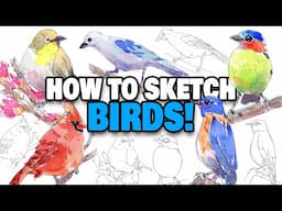 How To Sketch BIRDS For Beginners | Loose Ink & Watercolor