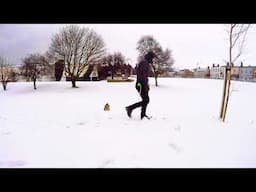 Best Dog - Snow training