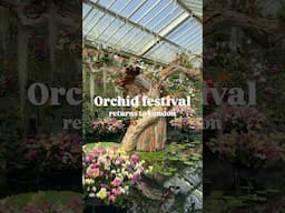 🌿🌸Orchid festival returns to London #kewgardenslondon