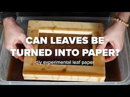 Can Leaves Be Turned Into Paper? DIY Experimental Leaf Paper