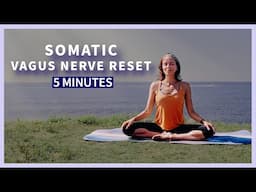 5 mins Vagus Nerve Reset with Bija Mantras Sound Healing + Somatic Yoga