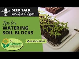 #127 - Tips for Watering Soil Blocks