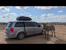 Nothing Like Petting a Cute Ass on a Rainy Day! | Chilly Weather Boondocking in My Minivan Camper