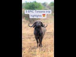 5 EPIC Tanzania Travel Highlights