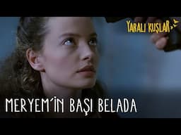 Meryem'in başı belada | Yaralı Kuşlar