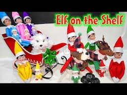 Elf on the Shelf All Colors Pets and Babies 2024!!!