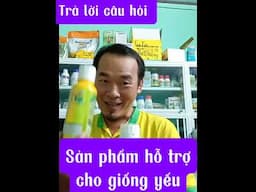 Sản phẩm hay cho Giống lên yếu