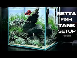 Betta Fish Tank Setup | Iwagumi Aquascape for Betta Fish | Aquascaping Tutorial | Nano Aquarium