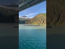 🏔️Alaska Inside Passage #shorts #alaska #cruise