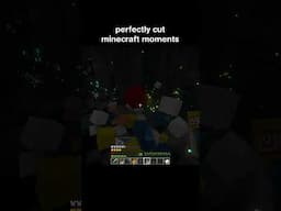 perfectly cut minecraft moments