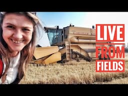 🔴 LIVE FROM FIELDS - NEW HOLLAND TX 36-RICE HARVESTING 2017