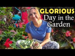 Warm weather, New Plants & Gardening!!! | Glorious Day in My Carolina Garden