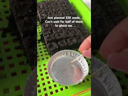 Time for soilblocks! #soilblocks #seedstarting #seeds #plants #cottagegarden #cutflowers