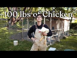 I raised 100lbs of chicken in my backyard, without acreage.