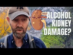 Alcohol and Kidney Damage - How Much Is Too Much?