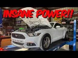 Insane 750+WHP Ecoboost Mustang On The Dyno!!