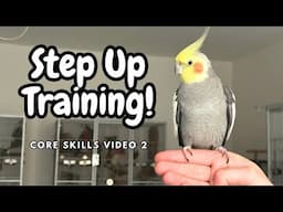 Bird Step Up Training - How To Teach Your Parrot To Step Up - Core Skill Series 2 | TheParrotTeacher