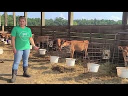 Landsdowne Dairy Farm Tour