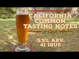 How to brew a California Common (Part 2): Tasting Notes