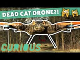 Curious Exclusive: The Truth Behind the Cat Drone