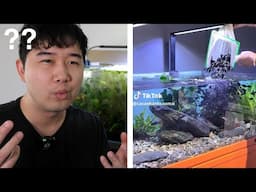 The BEST Way to Stock Your Fish Tank in 2025 | Fish Tank Review 292