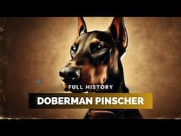 Doberman Pinscher - Full History