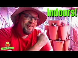 Yes, You Can Bring Your GreenStalk INDOORS | Black Friday Sale!