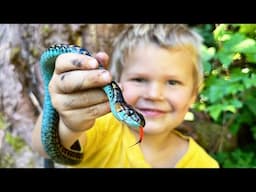 Catching and Eating Wild Snakes