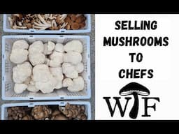 How We Market And Sell Mushrooms To Chefs