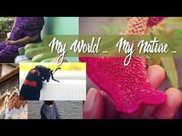 What is My Nature | My World | Garden Life | Gardening in Tamil