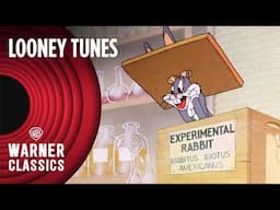 Looney Tunes | Bugs Bunny Classic Moments Compilation | Warner Classics