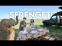 Tanzania Safari VLOG - Our Last Day in the Serengeti